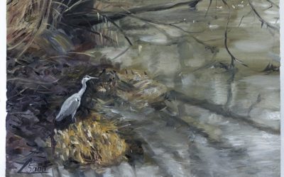 Herons and the Zorn Palette