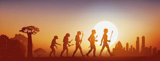 Evolution – Is there a direction?