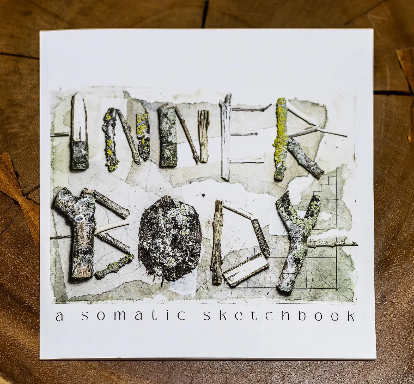 Cover of Inner Body: A Somatic Sketchbook, charcoal drawings by Csaba Tibor Palotas